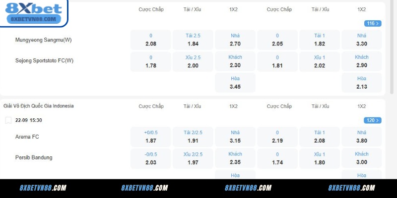 Các loại kèo châu Âu phổ biến tại 8XBET